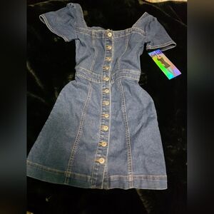 Denim Button-Down  Dress